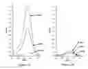 Fig. 04 - Water-soluble conjugates for electrochemical detection