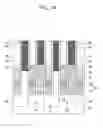 Fig. 15 - Method of fabricating semiconductor devices having buried contact plugs