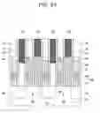 Fig. 25 - Method of fabricating semiconductor devices having buried contact plugs
