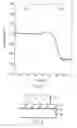 Fig. 02 - Polysilazane perhydride solution and method of manufacturing a semiconductor device using the same