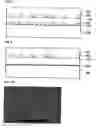 Fig. 05 - Compound semiconductor devices and methods of manufacturing the same