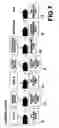 Fig. 08 - Pitch converting connector and method of manufacture thereof
