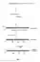 Fig. 04 - Composite membrane having hydrophilic properties and method of manufacture