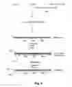 Fig. 05 - Composite membrane having hydrophilic properties and method of manufacture
