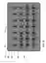 Fig. 07 - Forming a grid structure for a field emission device