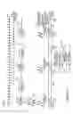 Fig. 19 - Methods and apparatus for transmitting signals facilitating antenna control