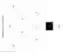 Fig. 04 - Video game
