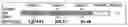 Fig. 01 - Electronic gaming machine and method of playing thereof