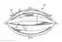 Fig. 01 - DYNAMIC TOY WITH INFLATABLE BLADDER