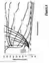 Fig. 05 - Friction launch control system for a vehicle