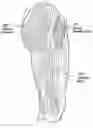 Fig. 01 - Methods for exercising core anatomy