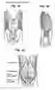 Fig. 02 - Methods for exercising core anatomy