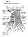 Fig. 04 - Methods for exercising core anatomy