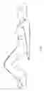 Fig. 06 - Methods for exercising core anatomy
