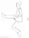 Fig. 22 - Methods for exercising core anatomy
