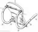 Fig. 01 - Waist and belly stretching exerciser