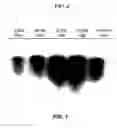 Fig. 02 - Compositions for protecting plants from pathogens