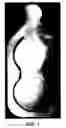 Fig. 02 - Packaged product
