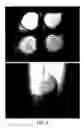 Fig. 06 - Packaged product