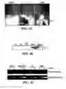 Fig. 07 - Oxytocin as cardiomyogenesis inducer and uses thereof