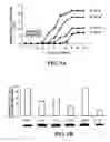 Fig. 08 - Oxytocin as cardiomyogenesis inducer and uses thereof
