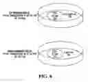 Fig. 09 - Oxytocin as cardiomyogenesis inducer and uses thereof