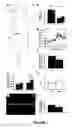 Fig. 10 - Methods of treating neurological diseases by regulating migration of neuroblasts in the adult nervous system with tenascin-R