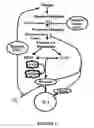 Fig. 02 - Metabolic-based methods for modulating gene expression