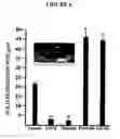 Fig. 07 - Metabolic-based methods for modulating gene expression