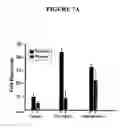 Fig. 08 - Metabolic-based methods for modulating gene expression