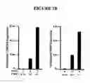 Fig. 09 - Metabolic-based methods for modulating gene expression