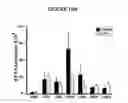 Fig. 17 - Metabolic-based methods for modulating gene expression