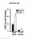 Fig. 22 - Metabolic-based methods for modulating gene expression