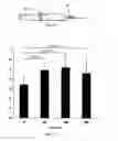 Fig. 04 - Formulations and methods for delivery of growth factor analogs
