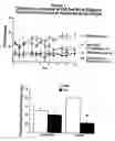 Fig. 02 - OB protein-immunoglobulin chimeras