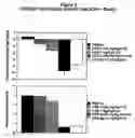 Fig. 03 - OB protein-immunoglobulin chimeras