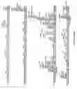 Fig. 08 - OB protein-immunoglobulin chimeras
