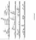 Fig. 16 - OB protein-immunoglobulin chimeras