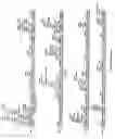 Fig. 19 - OB protein-immunoglobulin chimeras