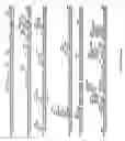 Fig. 20 - OB protein-immunoglobulin chimeras