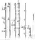 Fig. 23 - OB protein-immunoglobulin chimeras