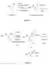 Fig. 02 - Gamma-secretase inhibitors