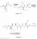 Fig. 06 - Gamma-secretase inhibitors