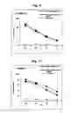 Fig. 06 - WT1 substitution peptides