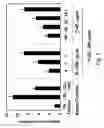 Fig. 02 - G-type peptides and other agents to ameliorate atherosclerosis and other pathologies
