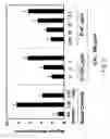 Fig. 03 - G-type peptides and other agents to ameliorate atherosclerosis and other pathologies