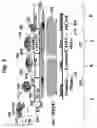 Fig. 03 - Compositions and methods for use of a protease inhibitor and adenosine for preventing organ ischemia and reperfusion injury