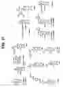 Fig. 12 - Compositions and methods for use of a protease inhibitor and adenosine for preventing organ ischemia and reperfusion injury