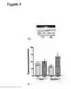 Fig. 05 - Method of modulating epithelial cell activity by modulating the functional levels of sphingosine kinase