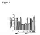 Fig. 06 - Method of modulating epithelial cell activity by modulating the functional levels of sphingosine kinase